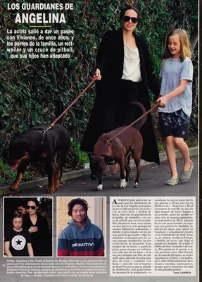 Magazine Article