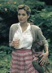 VCD